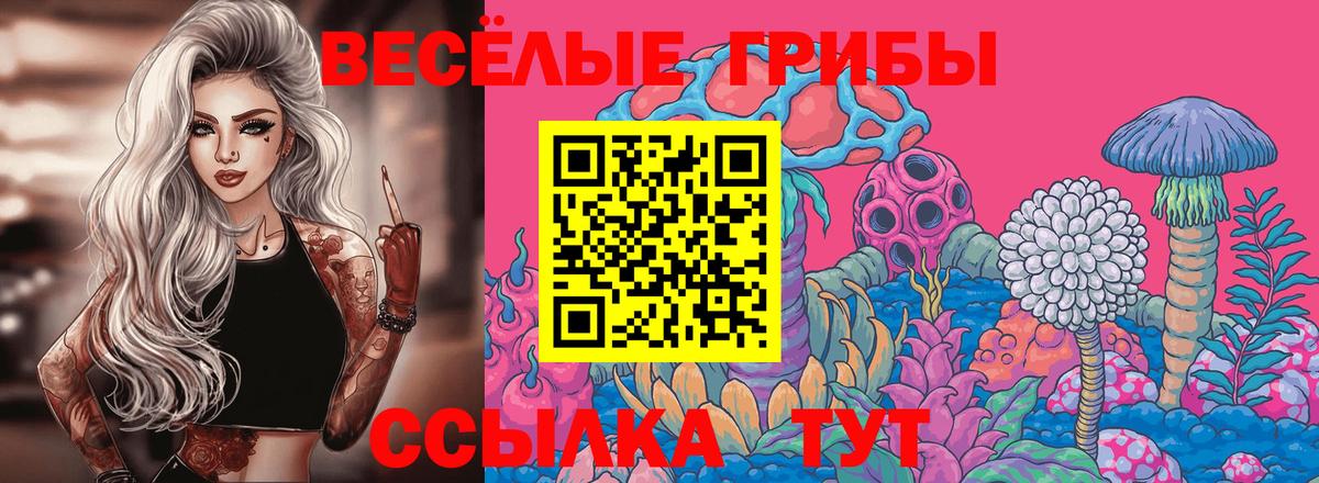 Галлюциногенные грибы мицелий Тихвин
